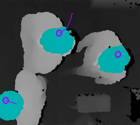 3D vision (the sensor with two video cameras)