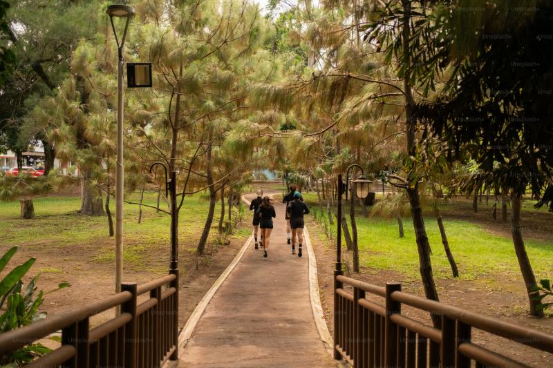 Conteo de personas en parques y senderos: Comprensión del flujo de visitantes al aire libre